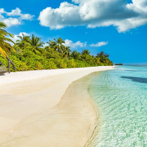 The Irresistible Pull of Our Beaches - Beach Coast Designs